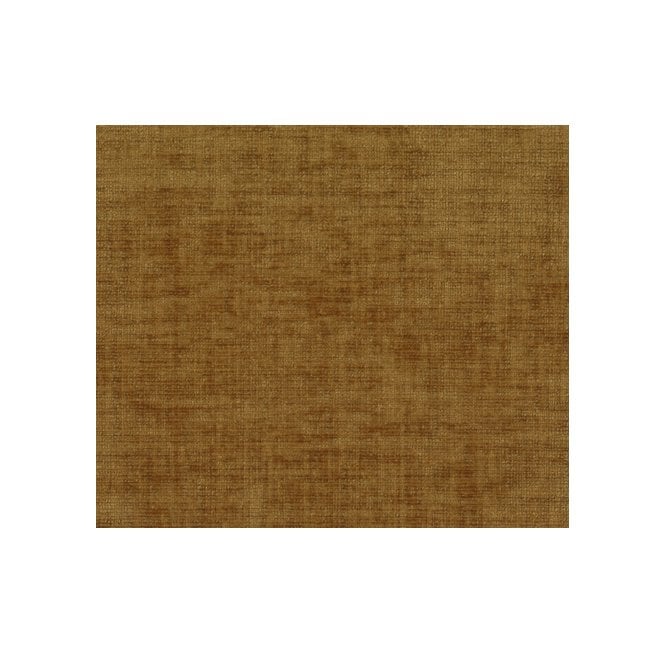 Lile 21 mustard FR