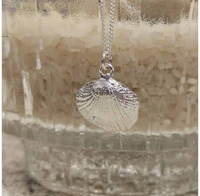 Siren Silver Sterling Silver Cockle Shell Necklace 