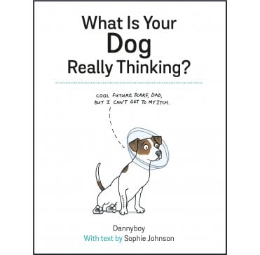 What Is Your Dog Really Thinking